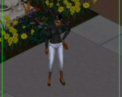 Лана директор студиотауна в The Sims 1
