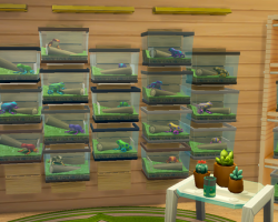 Коллекция лягушек в «The Sims 4»