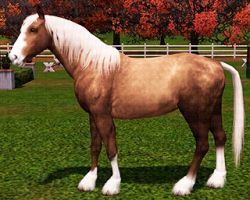 TS3 Породы лошадей 5