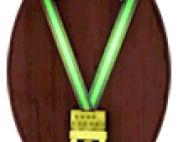 medal3