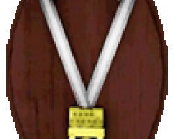 medal5
