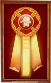 medal6