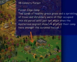 98 бедственный лес