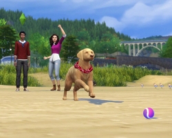 The-Sims-4-Cats-Dogs-Official-Reveal-Trailer-5
