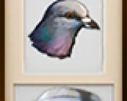 Симс 4 перо голубя коллекции
