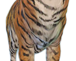 Тигр в симс 4