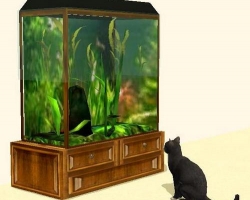 Кошка наблюдает за рыбками в симс 2