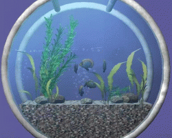 Рыбки в аквариуме в симс 2