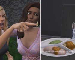 Мем Девушка орет на кота (The Sims 4)