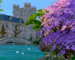 Лето в Бритчестере «The Sims 4: В университете»