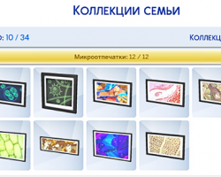 Коллекция микроотпечатков (инвентарь)