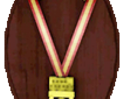 medal2 (1)