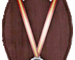 medal (1)