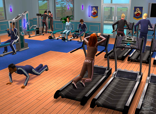 SIMS2UpcSCRNgymaction7.png