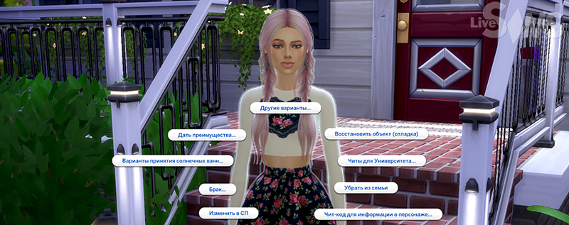 kod-razrabotchika-ts4-1.png