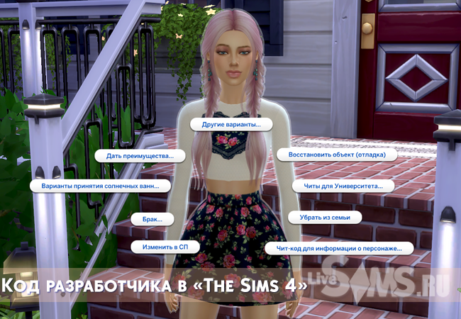 kog-razrabotchika-v-sims-4.png