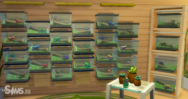Коллекция лягушек в «The Sims 4»