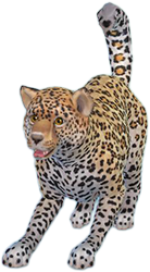 Леопард в симс 4