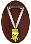 medal5