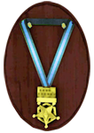 medal9