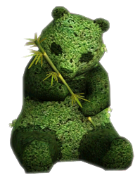 медведь растение