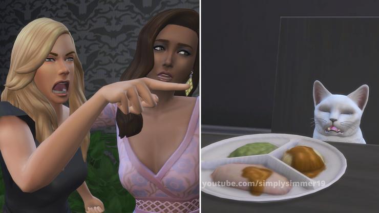 Мем Девушка орет на кота (The Sims 4)