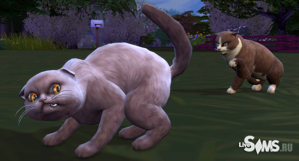 Sims 4 кошки злобно шипят